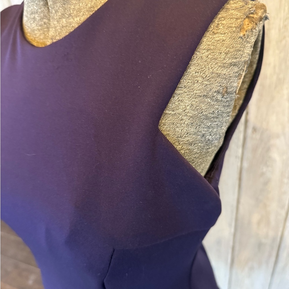Maia Chic Sleeveless Ruffle Hem Dress in Deep Purple - Picture 9 of 10